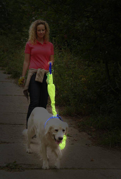 Reflective Dog Leash Set_1